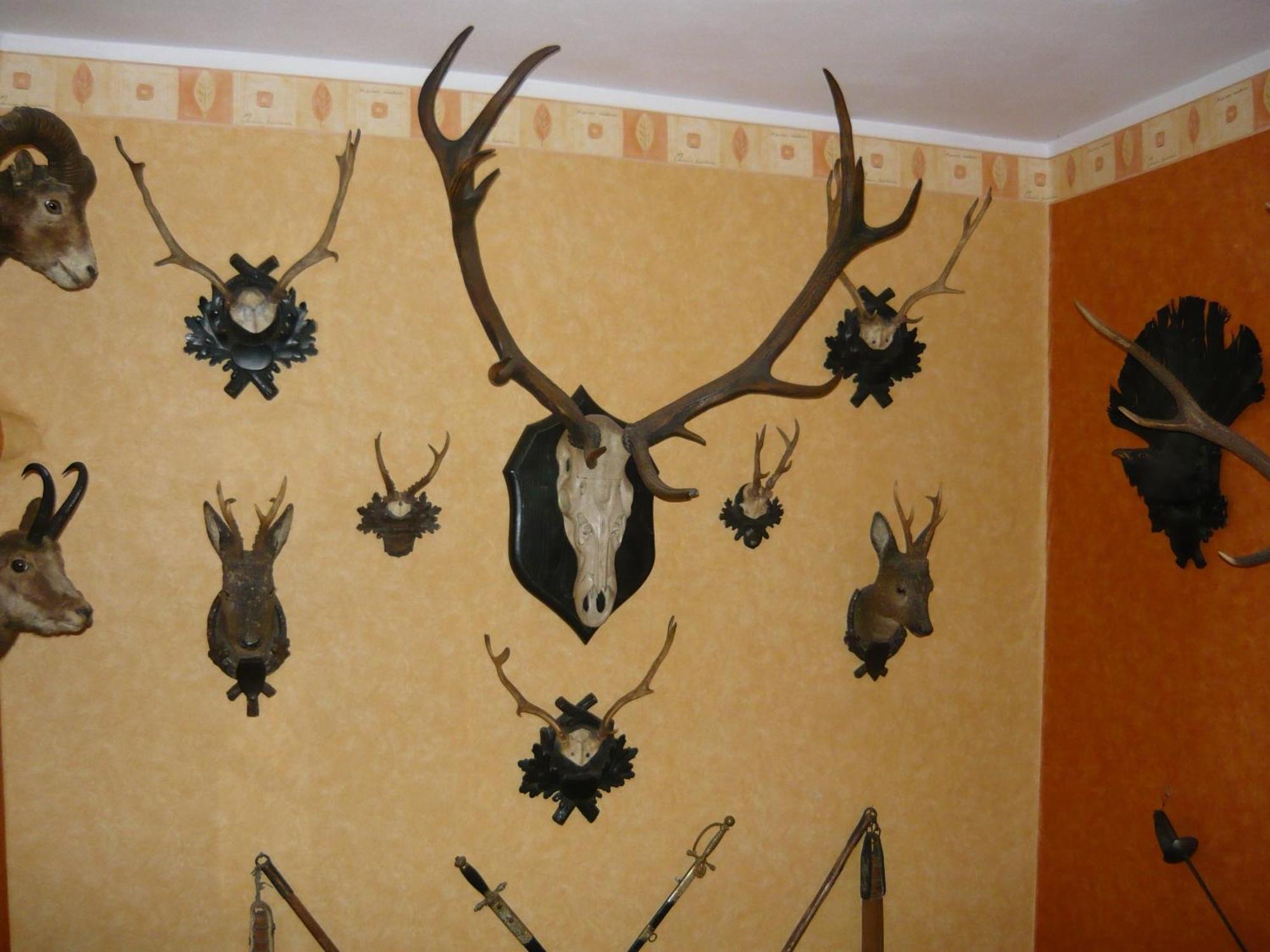 Kotrba Privat Hotel Telč Buitenkant foto